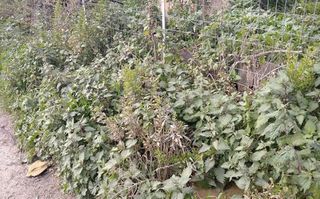 Land plot 1.165 sqm for sale