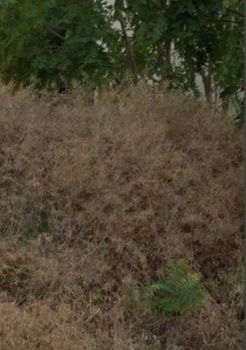 Land plot 337sqm for sale-Acharnes