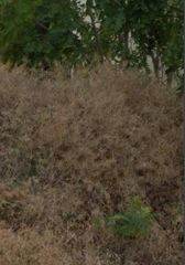 Land plot 337 sqm for sale