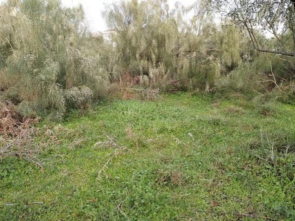Αγροτεμάχια 1.700 τ.μ. προς ενοικίαση, Αθήνα - Δυτικά Προάστια, Αχαρνές
