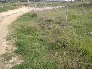 Οικόπεδο 367 τ.μ. προς πώληση, Αχαρνές-thumb-1