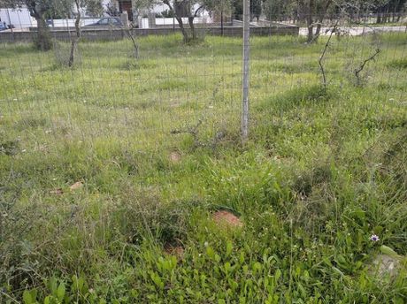 Land plot 367sqm for sale-Acharnes
