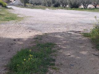 Οικόπεδο 3.700 τ.μ. για ενοικίαση
