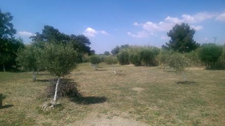 Οικόπεδο 2.760 τ.μ. προς πώληση, Ηράκλειο Αττικής