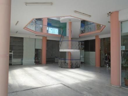 Business bulding 750sqm for sale-Nea Makri