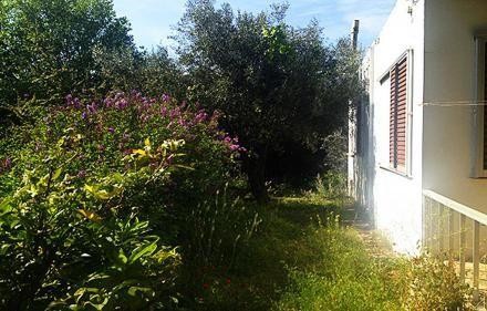 Οικόπεδο 595 τ.μ. προς πώληση, Μελίσσια