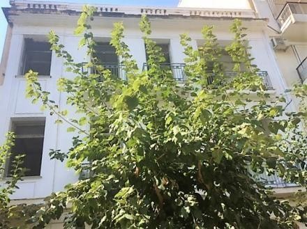 Κτίριο 300 τ.μ. πρός πώληση, Αθήνα - Κέντρο, Γκάζι - Μεταξουργείο - Βοτανικός