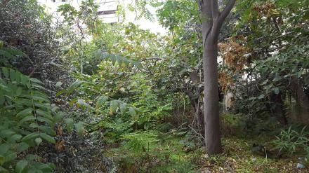 Land plot 900sqm for sale-Palaio Faliro