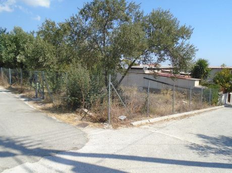 Land plot 238sqm for sale-Glika Nera