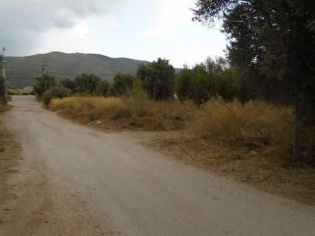 Land plot 696sqm for sale-Paiania