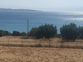 Επιχειρηματικό κτίριο 280 τ.μ. για πώληση, Αργολίδα, Κρανίδι-thumb-4