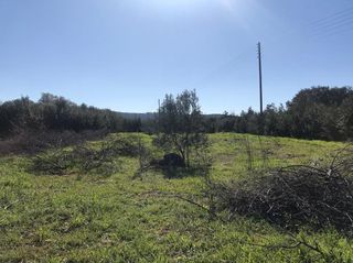 Αγροτεμάχια 1.250 τ.μ. για πώληση