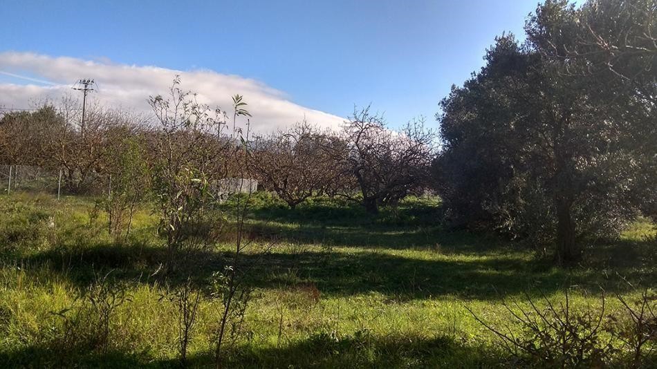 Οικόπεδο 1.000 τ.μ. προς πώληση, Κηφισιά