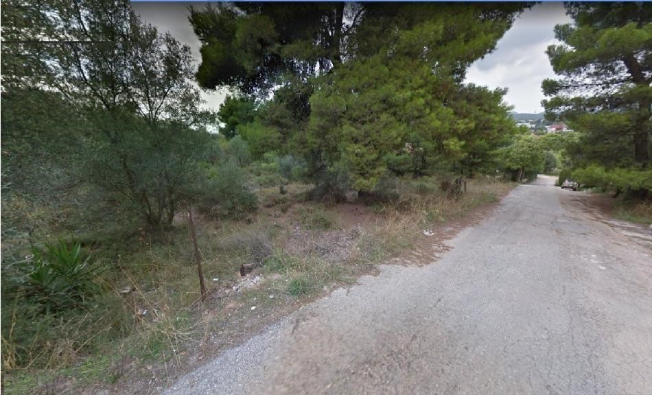 Οικόπεδο 540 τ.μ. προς πώληση, Άνοιξη