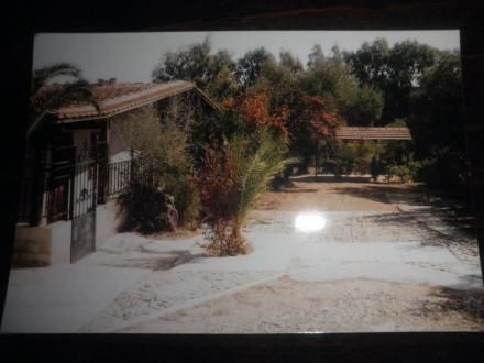 Land plot 2.000sqm for sale-Saronida