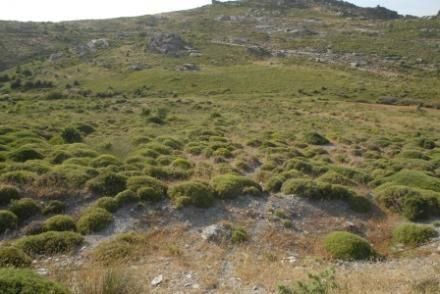 Parcel 265.000 sqm for sale