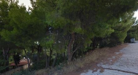 Οικόπεδο 1.000 τ.μ. προς πώληση, Νέα Μάκρη