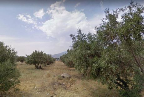 Land plot 18.000 sqm for sale