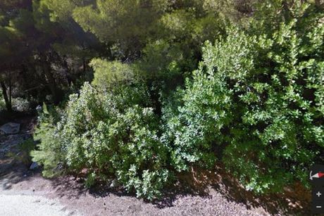 Land plot 1.244 sqm for sale