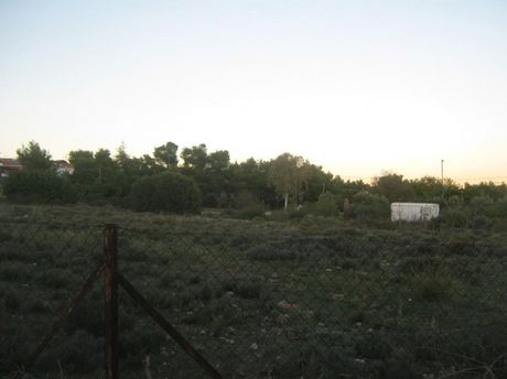 Land plot 2.500 sqm for sale