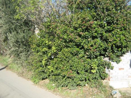 Οικόπεδο 821 τ.μ. για πώληση