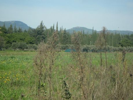 Parcel 885 sqm for sale