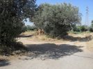 Parcel 640sqm for sale-Acharnes