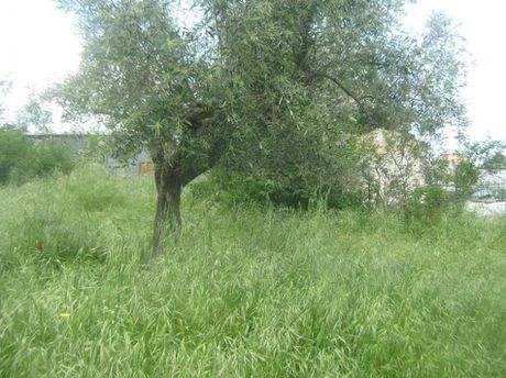 Parcel 2.550 sqm for sale