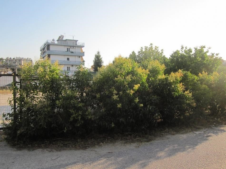 Οικόπεδο 392 τ.μ. προς πώληση, Μεταμόρφωση Αττικής