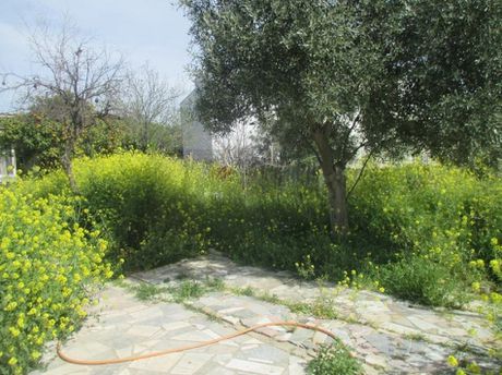 Οικόπεδο 323 τ.μ. για πώληση