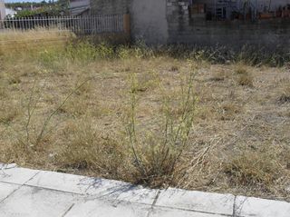 Οικόπεδο 115 τ.μ. για πώληση