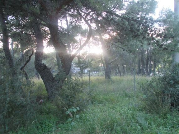 Οικόπεδο 1.000 τ.μ. για πώληση, Αθήνα - Δυτικά Προάστια, Αχαρνές