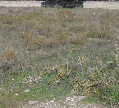 Parcel 365sqm for sale-Acharnes