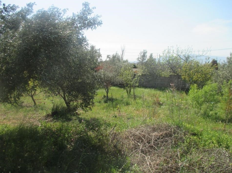 Οικόπεδο 610 τ.μ. προς πώληση, Μεγάλα Σχοινία Α