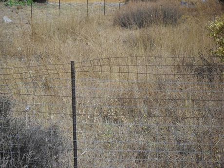 Land plot 360sqm for sale-Acharnes