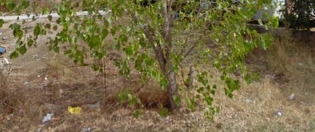 Land plot 210sqm for sale-Acharnes