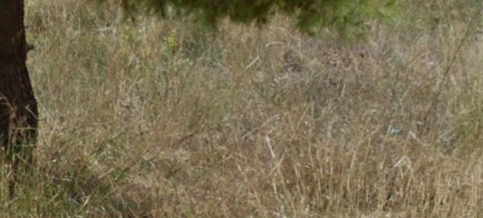 Οικόπεδο 332 τ.μ. προς πώληση, Μεγάλα Σχοινία Α
