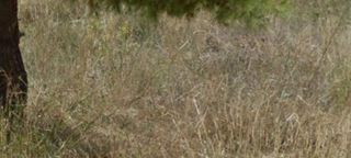 Οικόπεδο 332 τ.μ. προς πώληση