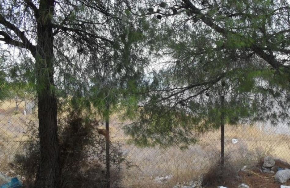 Οικόπεδο 647 τ.μ. προς πώληση, Μεγάλα Σχοινία Α