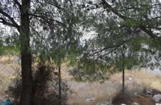 Οικόπεδο 647 τ.μ. προς πώληση