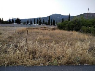 Αγροτεμάχια 332 τ.μ. για πώληση