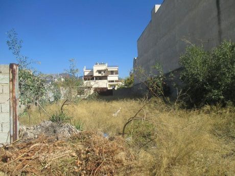 Land plot 620 sqm for sale