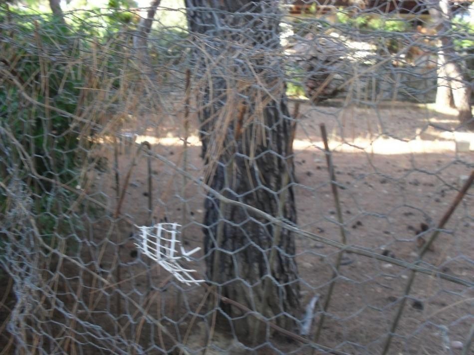 Οικόπεδο 490 τ.μ. προς πώληση, Βαρυμπόμπη