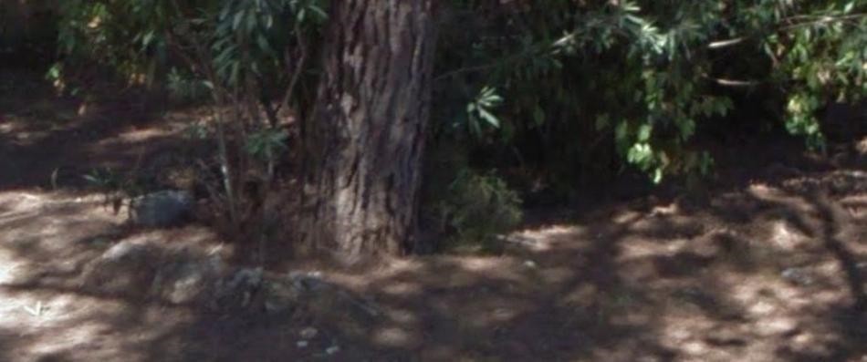 Οικόπεδο 1.000 τ.μ. προς πώληση, Βαρυμπόμπη