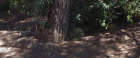 Land plot 1.000 sqm for sale