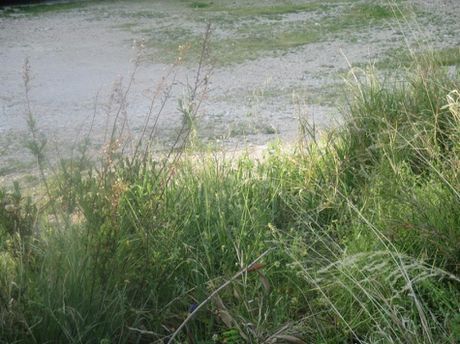 Land plot 831 sqm for sale