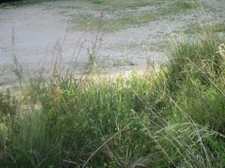 Οικόπεδο 831 τ.μ. προς πώληση