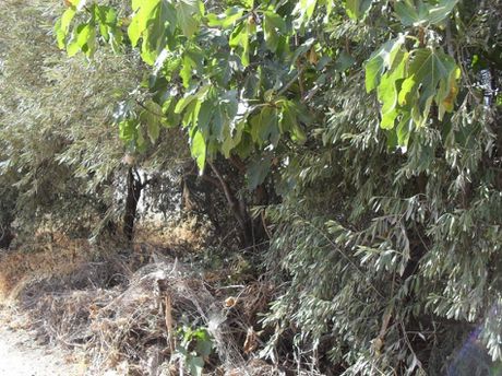 Parcel 349 sqm for sale