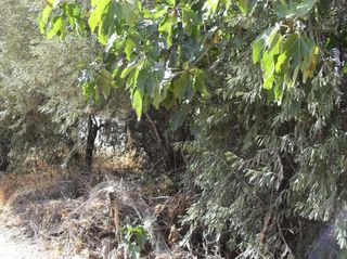 Parcel 349 sqm for sale
