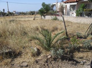 Parcel 250 sqm for sale
